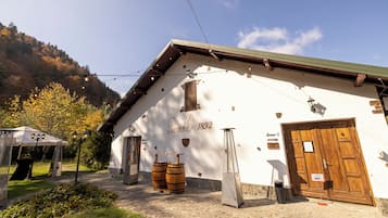 Esterni