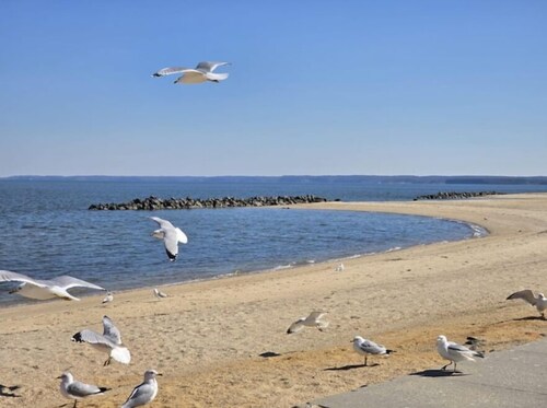 Beach Please - Home away from home