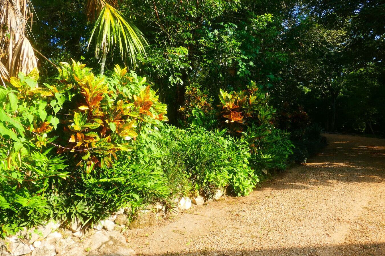 Áreas de la propiedad