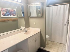 Un baño con un espejo grande, un lavamanos y un inodoro.