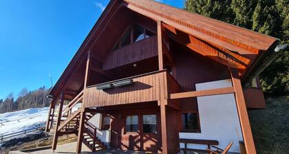 Beautiful Chalet in the ski Area