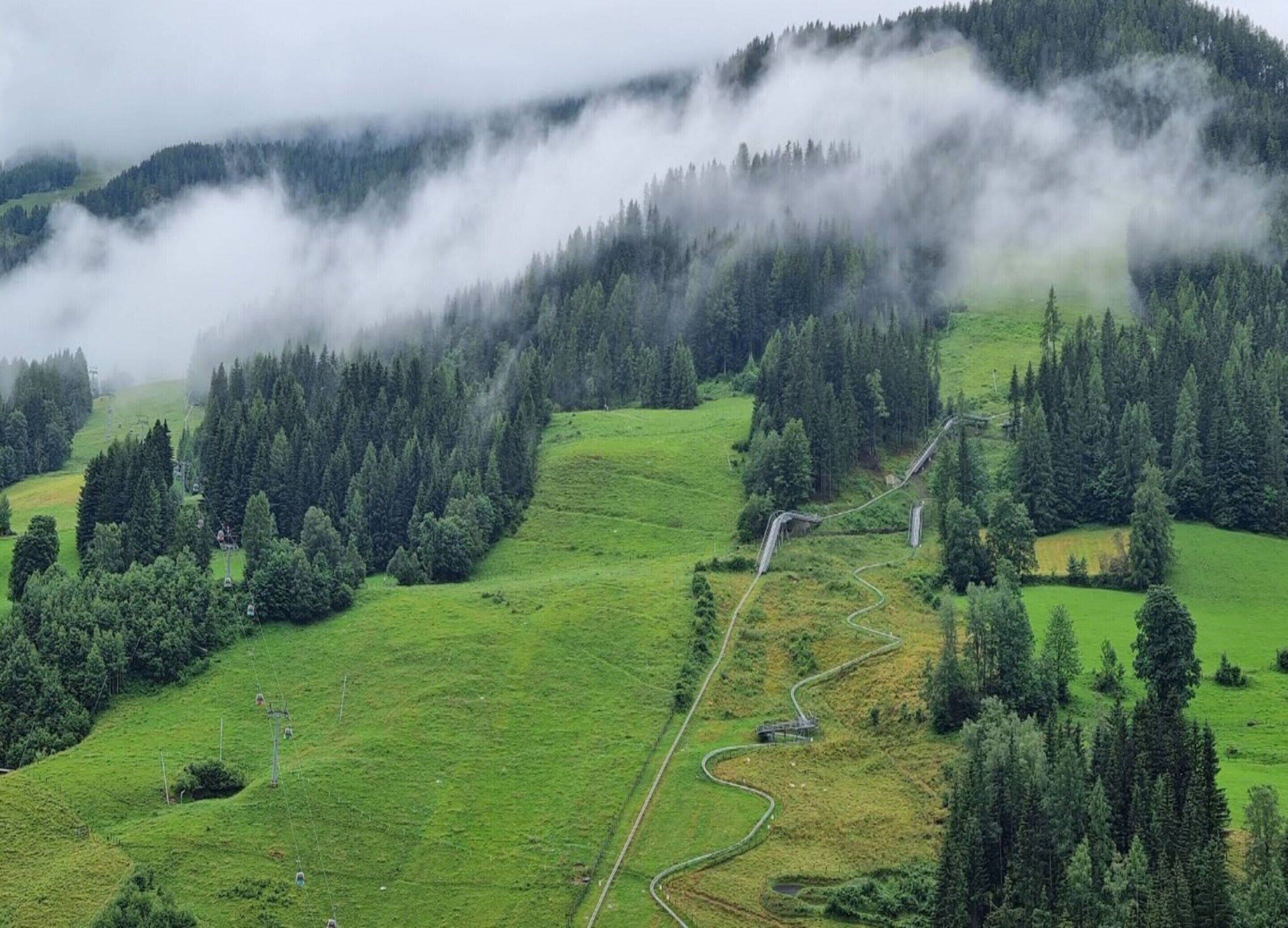 A mountainous landscape with a winding road and dense forest.