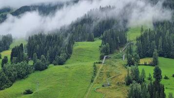 A mountainous landscape with a winding road and dense forest.