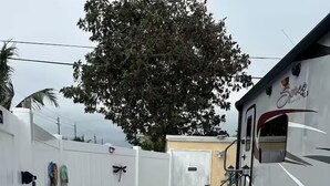 Um alpendre coberto com cerca branca, uma árvore e um veículo recreativo.