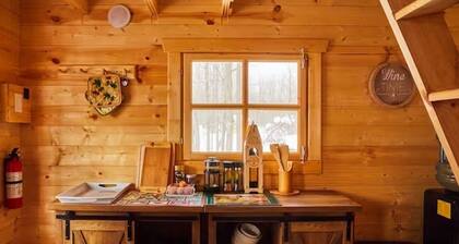 Anastasia’s Domain 2, Farm stay, off grid cabin in a beautiful forest!