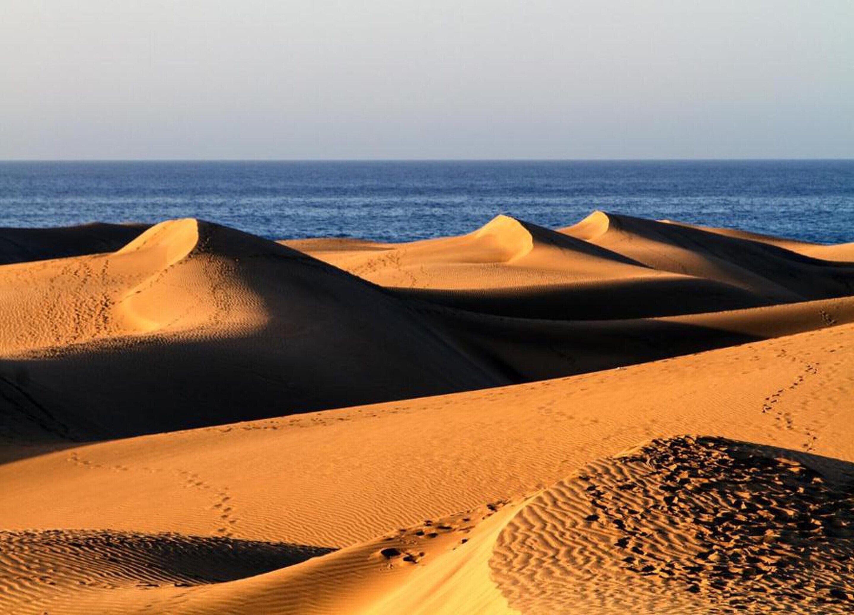 A desert landscape with sand dunes and a body of water in the background.