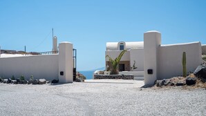 A white building with a door and windows, a palm tree, and a cactus in the foreground. - Villa Chora (Santorini)