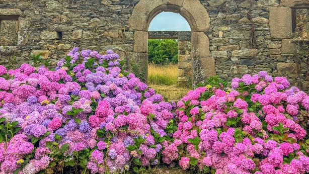 A stone archway leading to a lush garden with vibrant purple flowers. - Métairie du Hellès (Lanmeur)