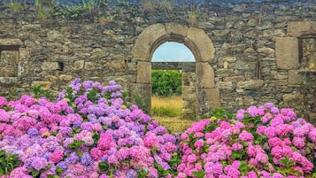 Detalle del exterior