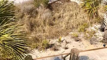 House, Multiple Beds (Pearl Hideaway) | Property grounds