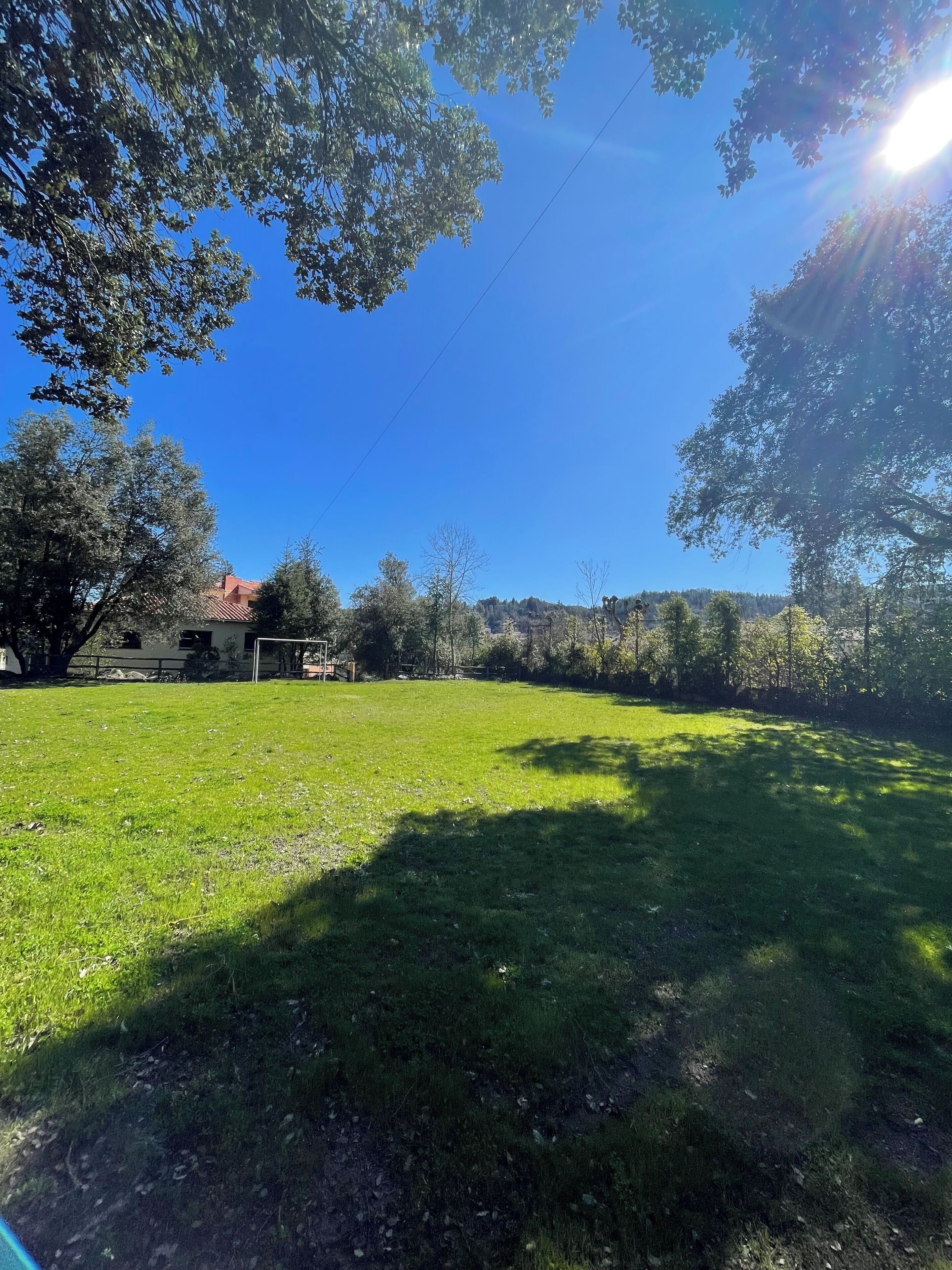 A grassy field with trees and a building in the background.