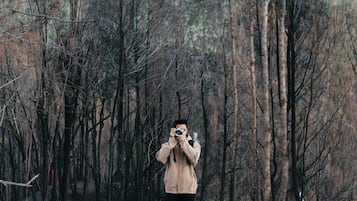 التنزّه سيراً على الأقدام