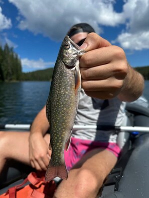 Uma pessoa segurando um peixe.