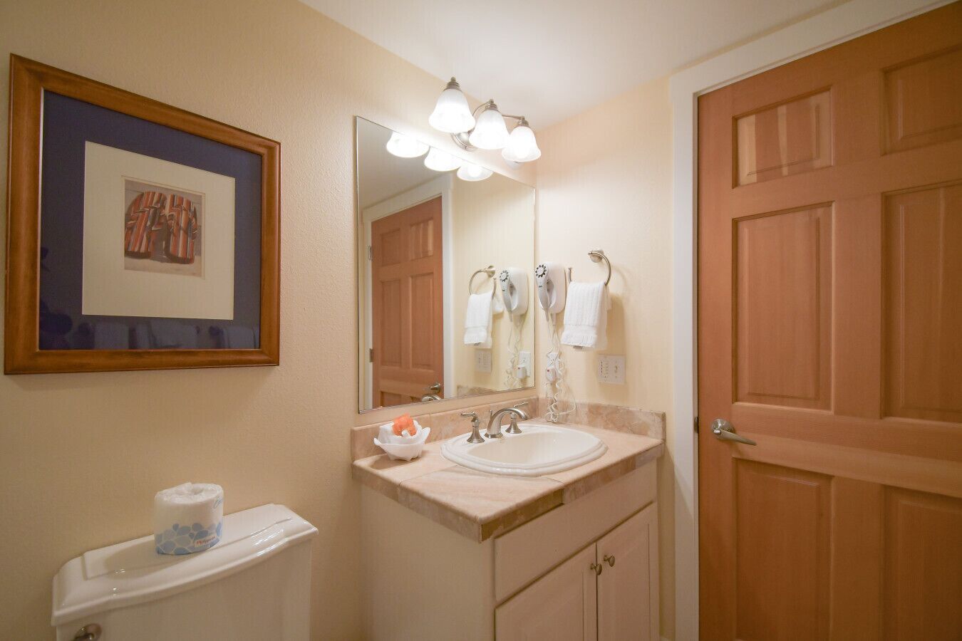 Secadora de cabello y toallas 