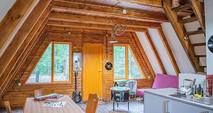 3 A-shaped cottages in a beautiful forest 1 hr drive from Warsaw