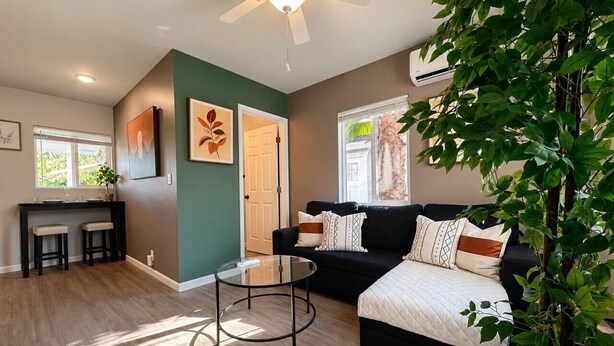 A modern living room with a black sofa, a glass coffee table, a ceiling fan, and a large potted plant.