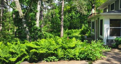 Spacious 3-bedroom Ranch getaway in charming Afton MN with AC, WiFi