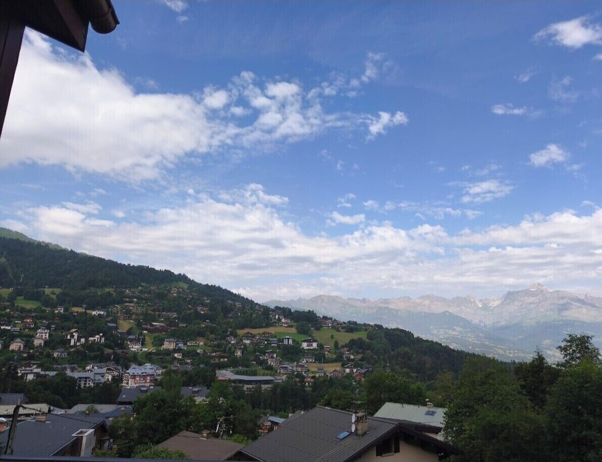 A residential area with houses and a mountain range in the background.