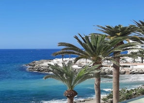 A coastal view with palm trees and a rocky shoreline.
