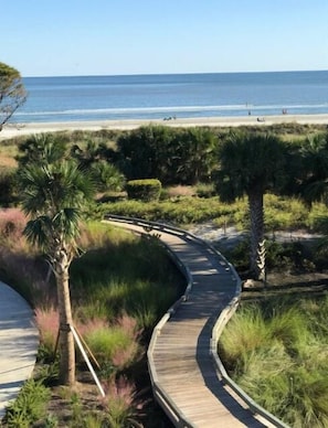 A curved wooden boardwalk leading to a beach with palm trees and shrubs.