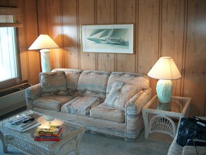 TV, DVD player, books, music library