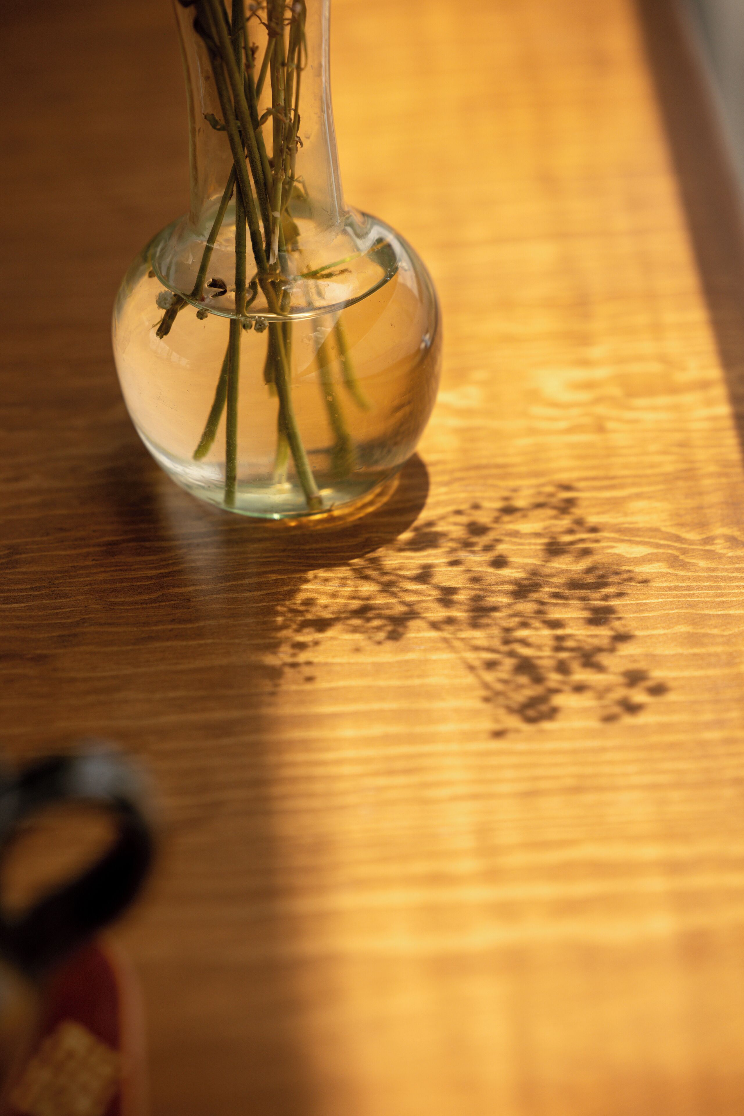 Un vase en verre transparent contenant des tiges et des feuilles, posé sur une surface en bois.
