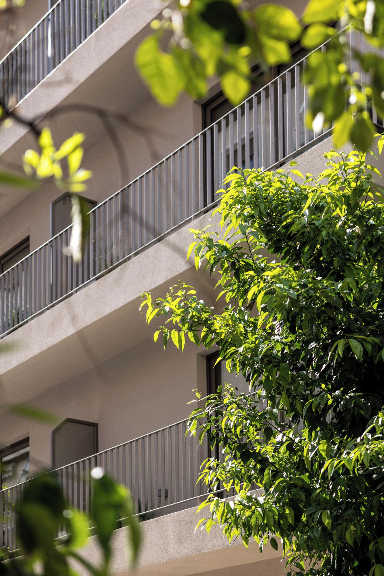 A multi-story building with balconies and a tree in the foreground.