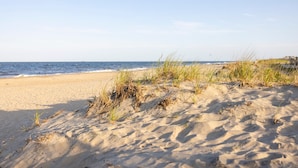 A sandy beach with sparse vegetation and a calm sea.