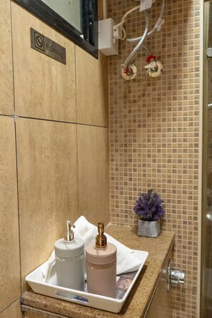 Douche, sèche-cheveux, serviettes fournies, papier toilette