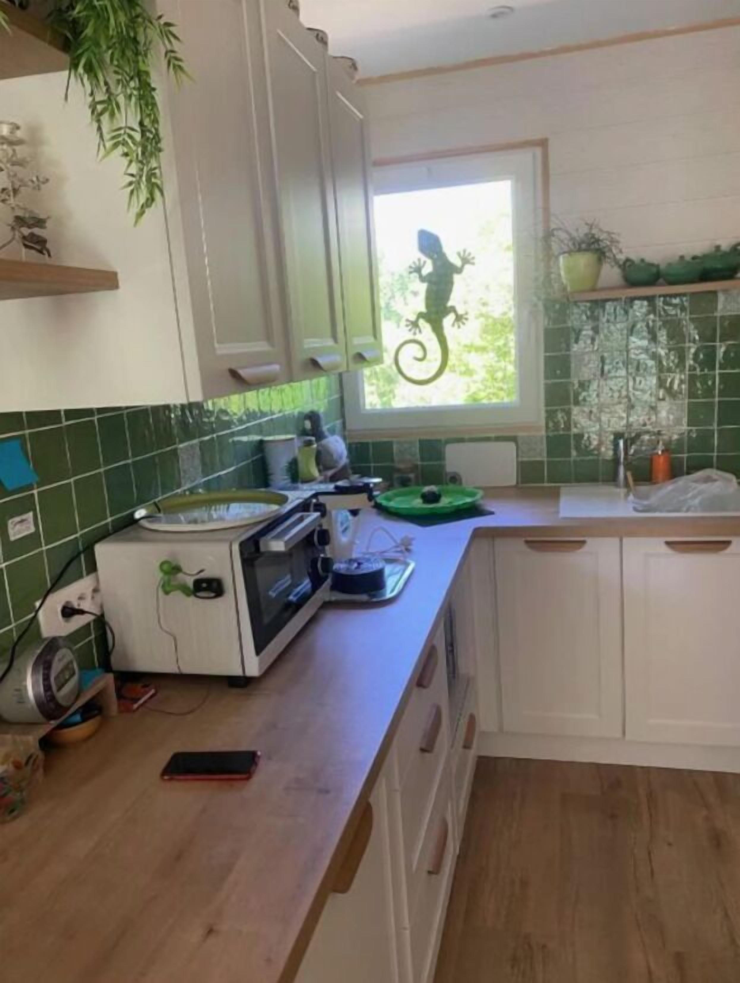 Una cocina con microondas, tostadora y encimera verde. Se observa una ventana decorada con una figura de lagarto y una planta en el alféizar.