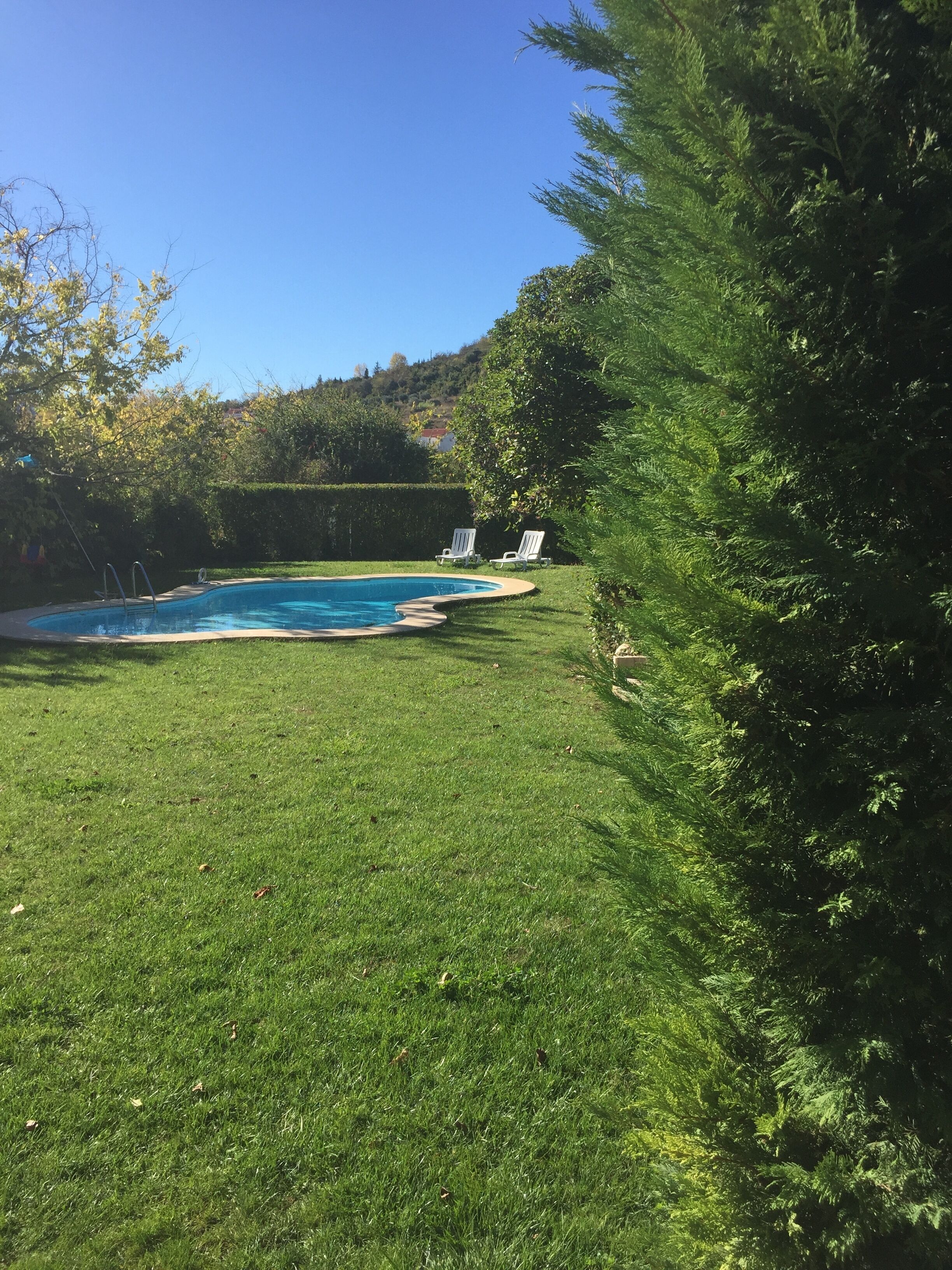 Une piscine avec deux chaises longues et une pelouse bien entretenue.
