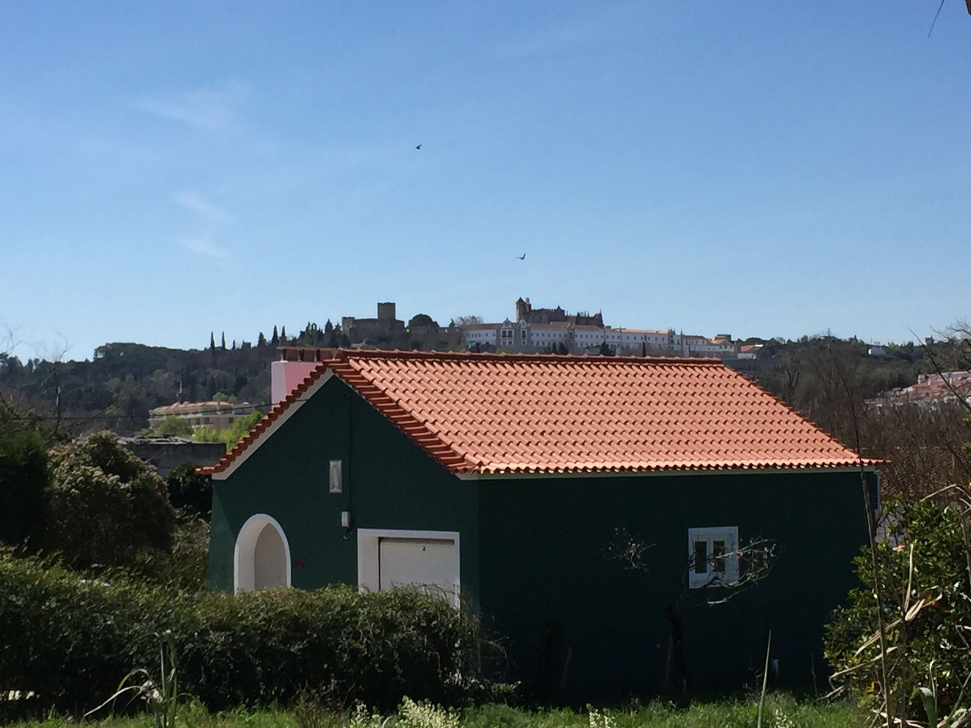 A green building with a red roof, surrounded by greenery, with a view of a hilltop structure in the background.