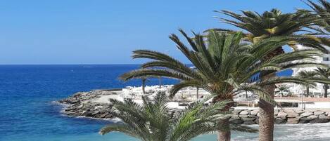 House | View from property