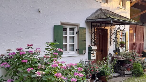A quaint house with a white exterior, green shutters, and a small porch area with potted plants and a watering can.