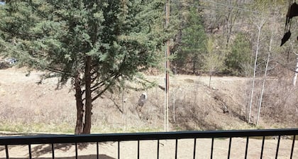 Charming 1-bedroom condo in superb Ruidoso with WiFi, AC