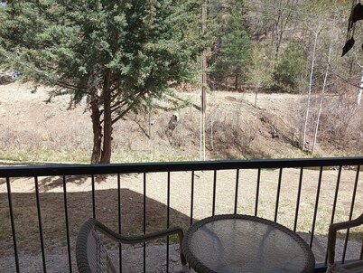 Charming 1-bedroom condo in superb Ruidoso with WiFi, AC