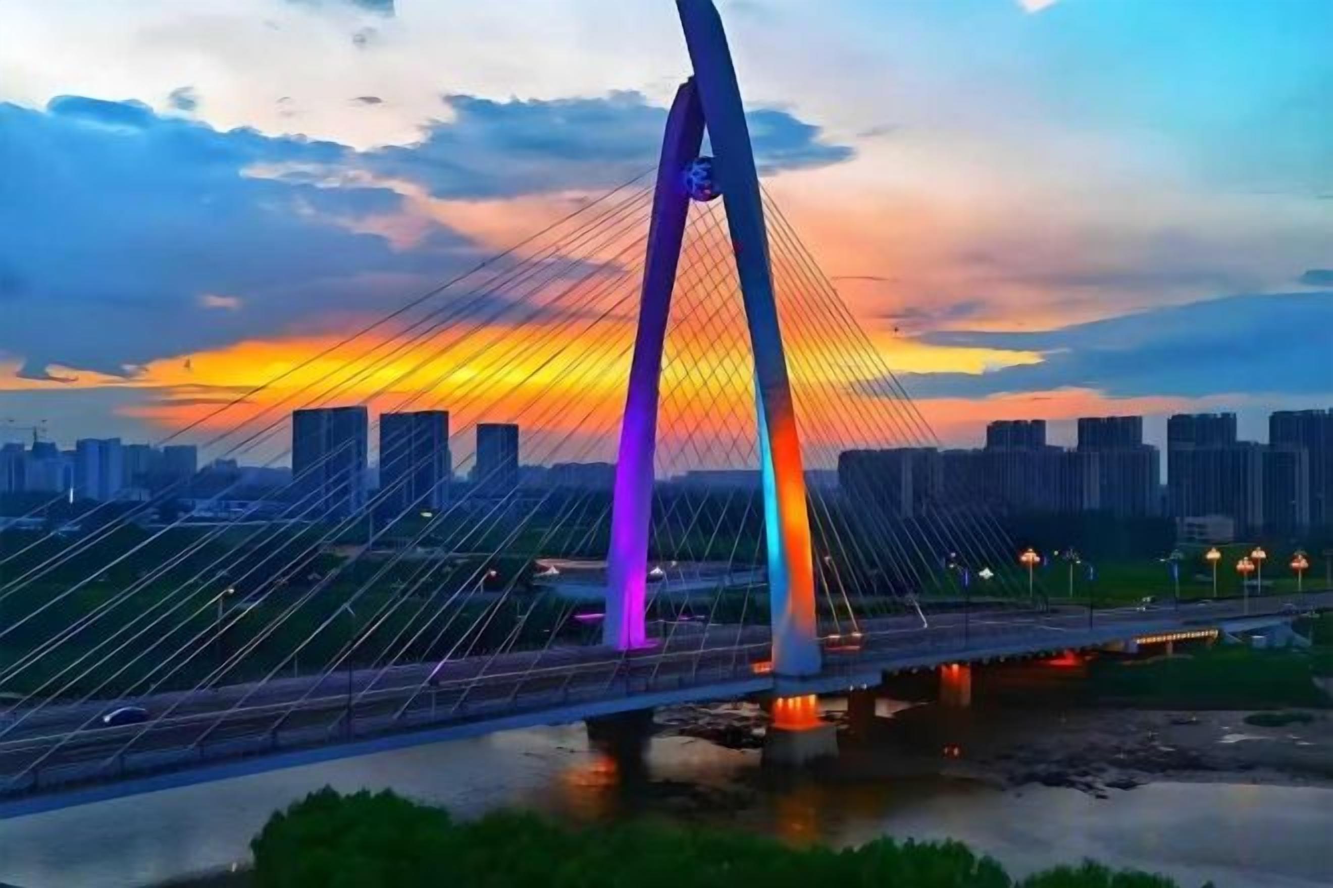 Een brug met een bijzonder boogontwerp, overspannend een waterpartij met een stadsachtergrond.