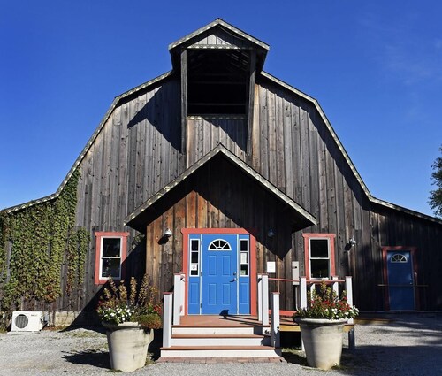 Cozy Tiny Cabin near Ferne Clyffe and Lake of Egypt with Wi-Fi