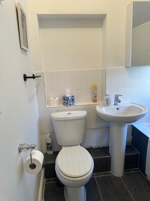 Secadora de cabello, toallas, jabón, papel de baño 