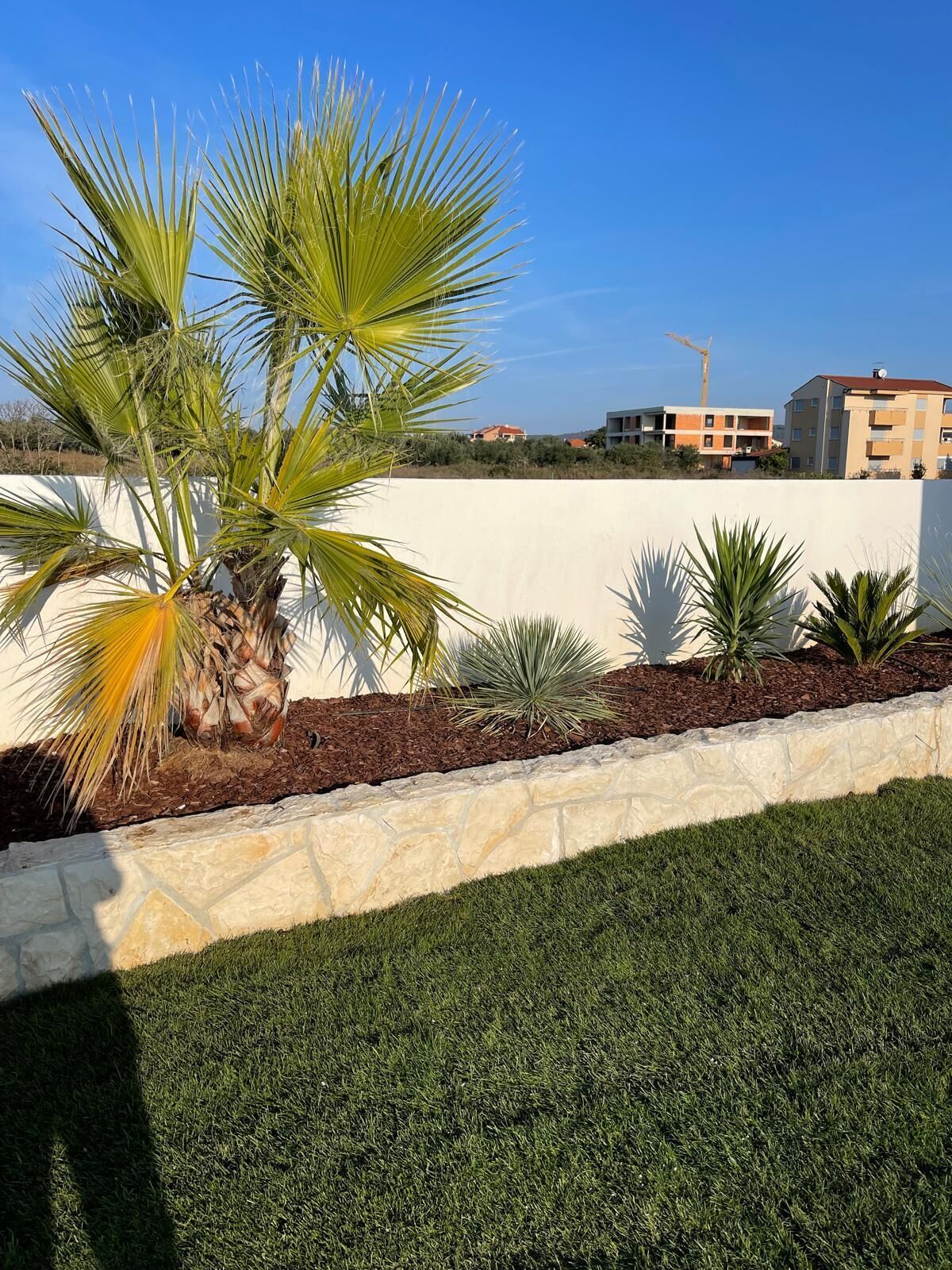 A landscaped garden with palm trees, a stone retaining wall, and a grassy area.