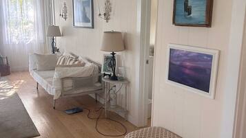 Smart TV, chimenea y reproductor de DVD