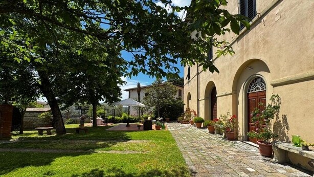 A courtyard with a paved walkway, a building with arched windows, and potted plants.