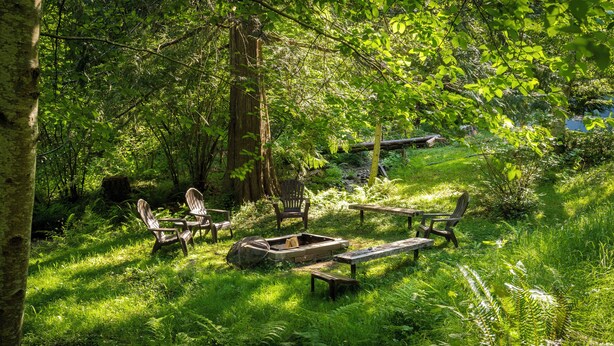 Ein bewaldetes Gebiet mit Gartenmöbeln, darunter Stühle und ein Tisch, umgeben von üppiger Vegetation und Bäumen.