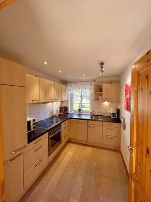 Kühlschrank, Mikrowelle, Herdplatte, Geschirrspüler