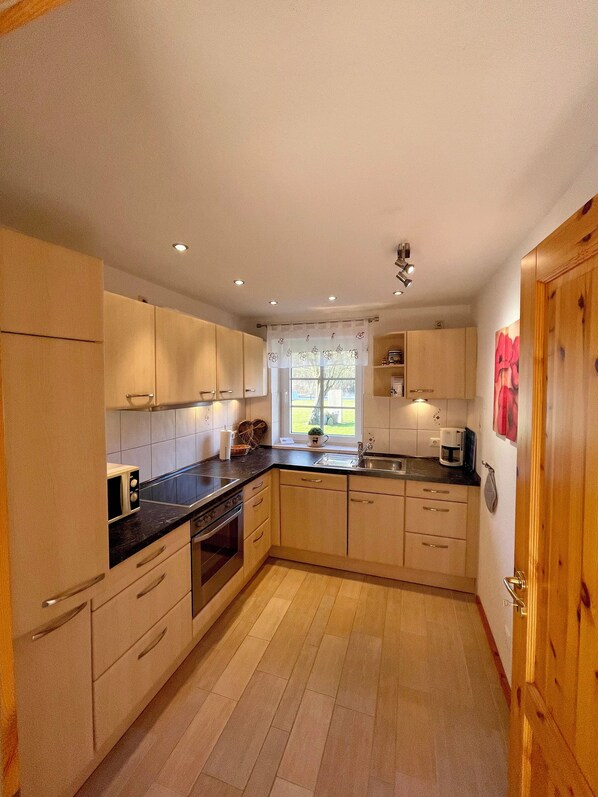 Kühlschrank, Mikrowelle, Herdplatte, Geschirrspüler