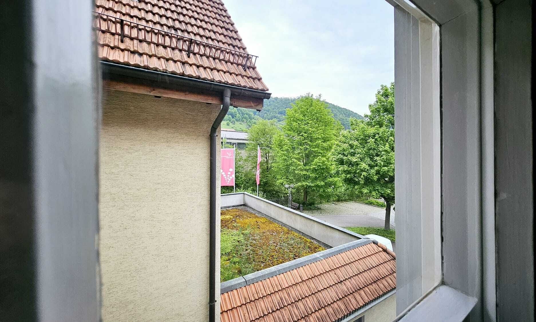 Eenvoudige eenpersoonskamer, uitzicht op vallei | Hypoallergeen beddengoed, een gratis minibar, een kluis op de kamer