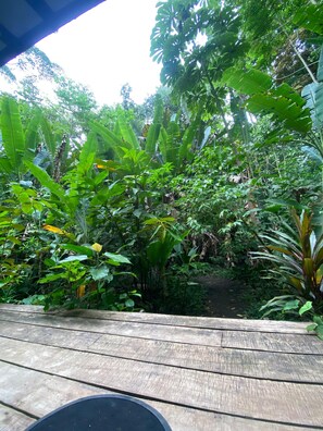 Property grounds - Mini Jungle Cabin (Manzanillo)