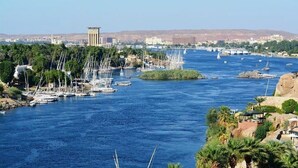 A marina with numerous sailboats docked along a riverbank, surrounded by greenery and a distant cityscape.