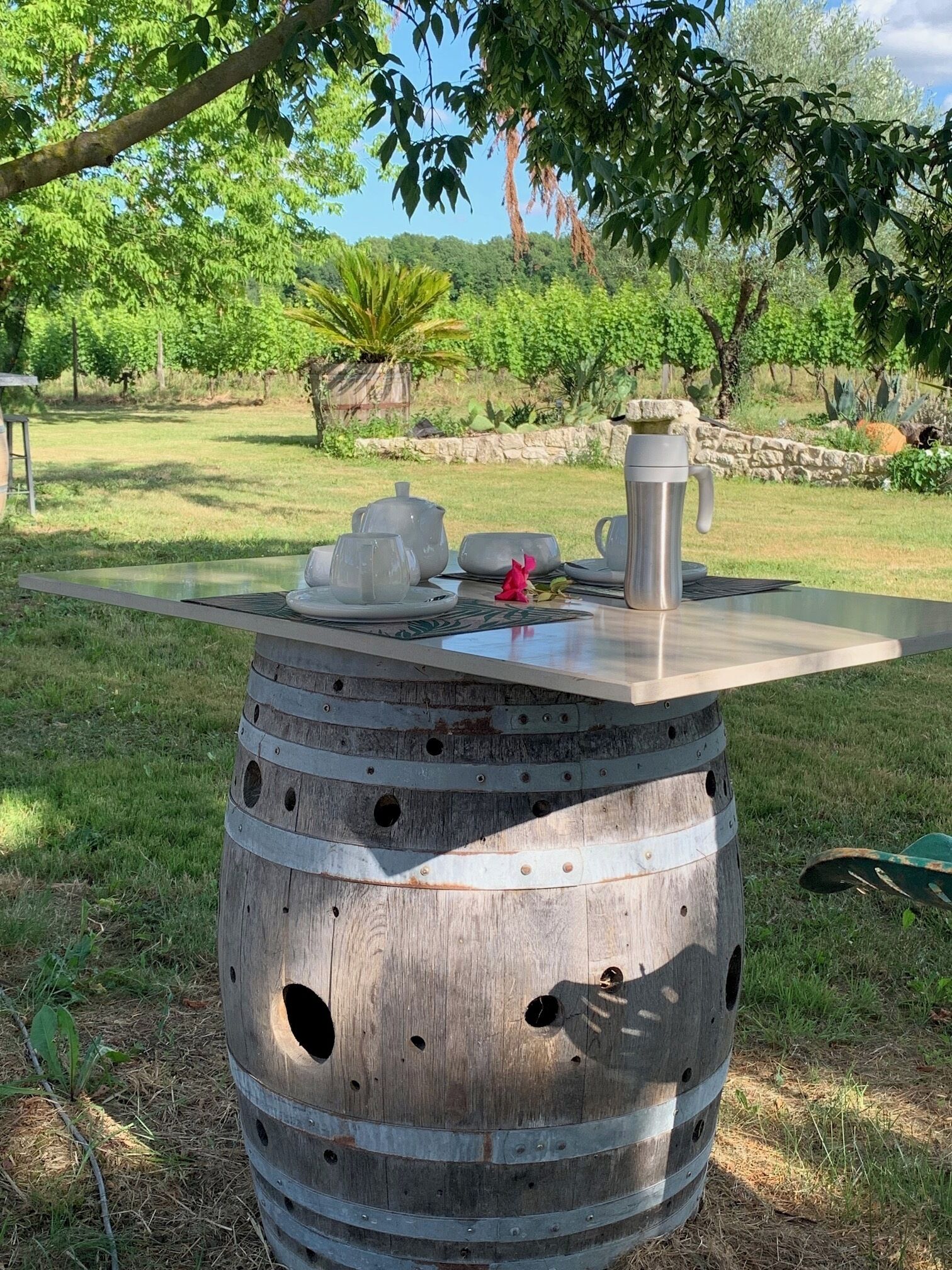 Terrein van de accommodatie