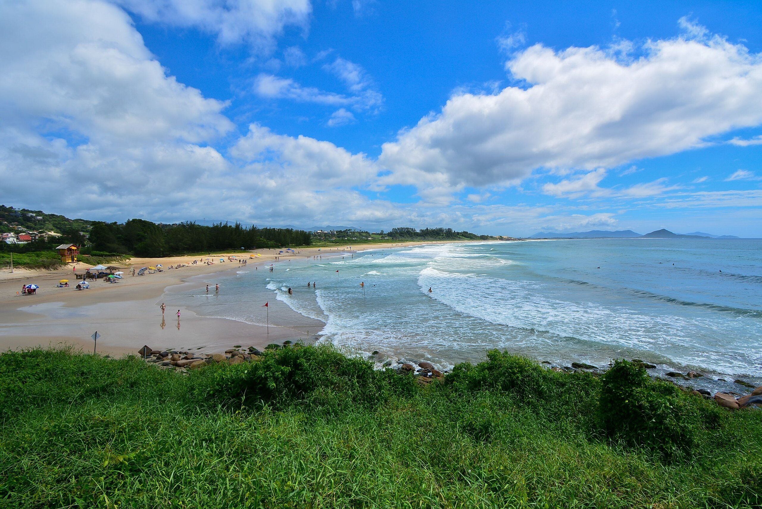 Uma praia com céu claro e ondas, uma faixa de areia e vegetação ao primeiro plano.